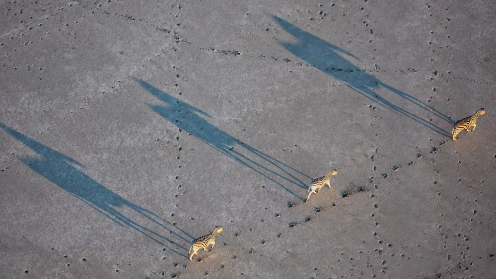 Makgadikgadi Salt Pans