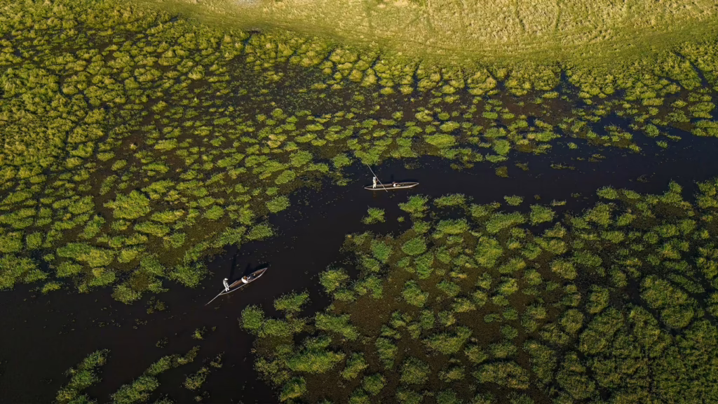 The Okavango Delta