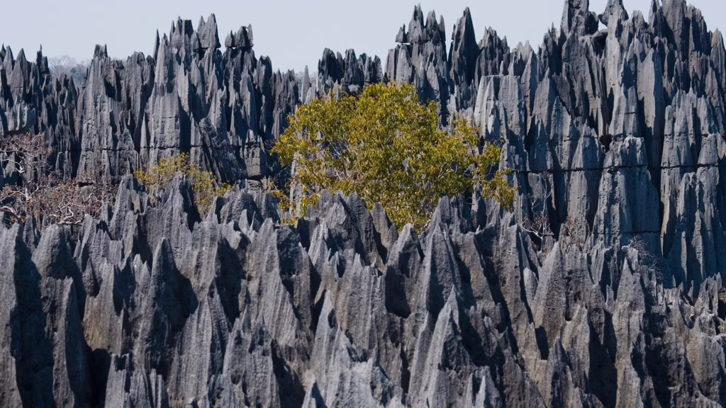 Tsingy de Namoroka National Park