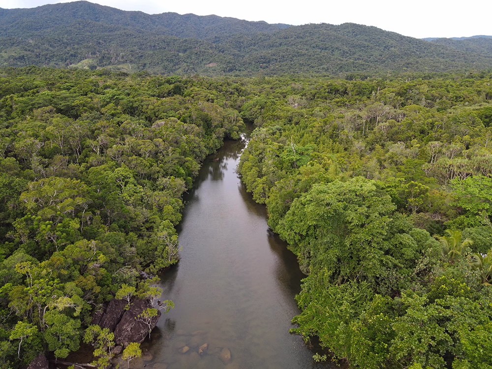Namironana River running through Masoala National Park, Madagascar.