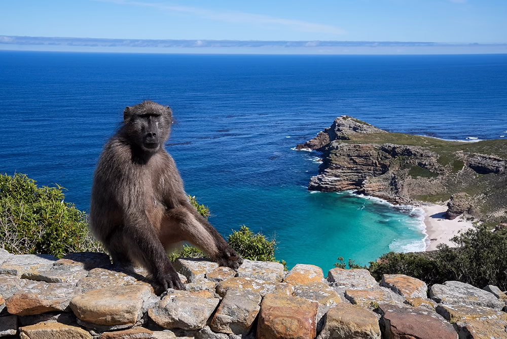 Cape Point National Park
