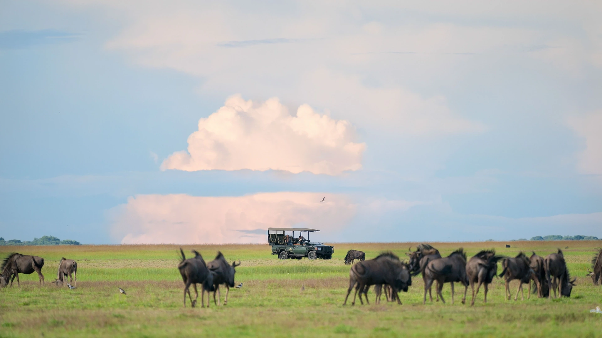 Liuwa Plain