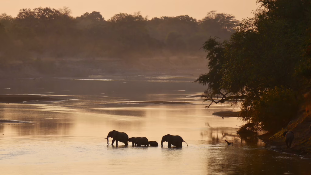 South Luangwa