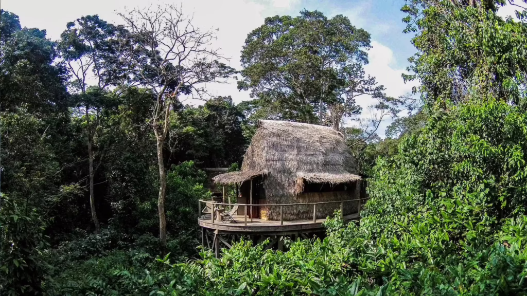 Ngaga Lodge