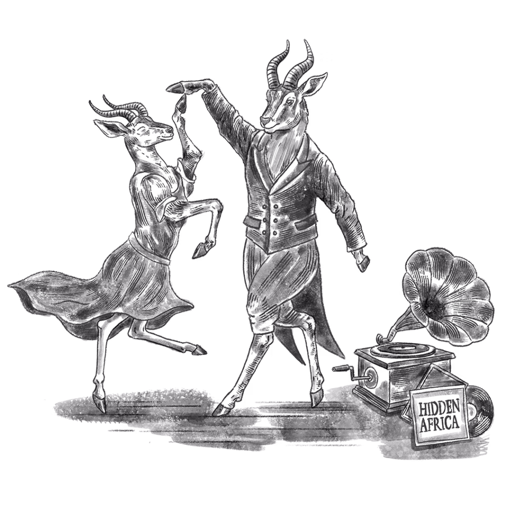 Vintage-style engraving of a springbok and a kudu dancing on their hind legs beside a gramophone