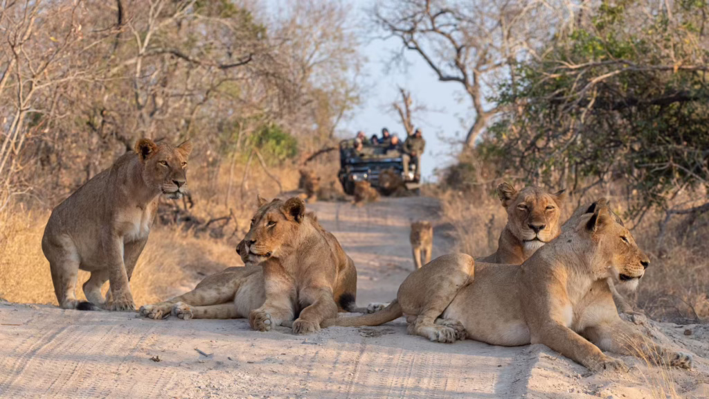 Greater Kruger